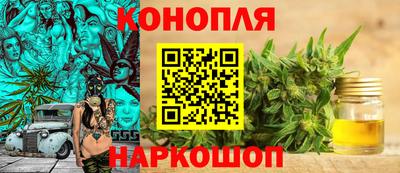 spice Гудермес