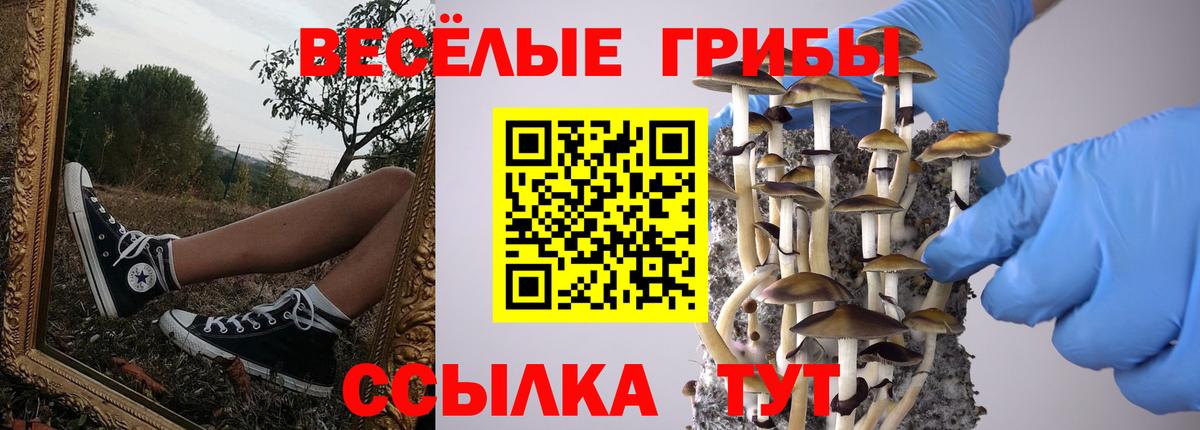 Галлюциногенные грибы мицелий Новодвинск