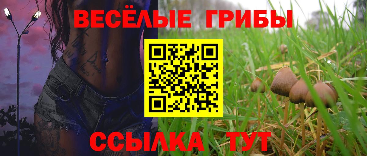 Псилоцибиновые грибы Psilocybine cubensis  Псилоцибиновые грибы мицелий  Новодвинск  Вход с VPN 